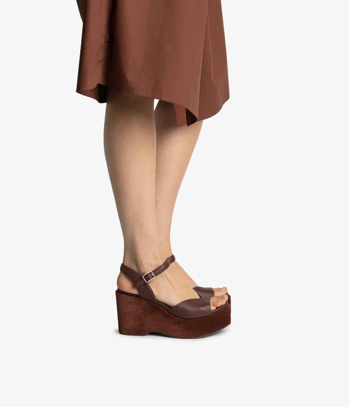 doina / brunette cervo