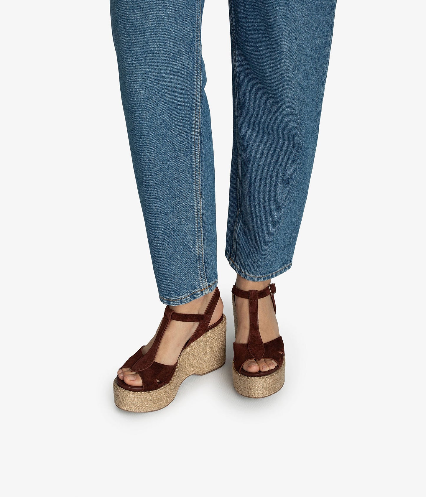 domiel / brunette castoro