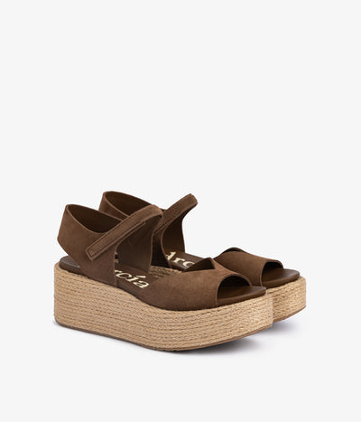 nirvana / chocolat castoro