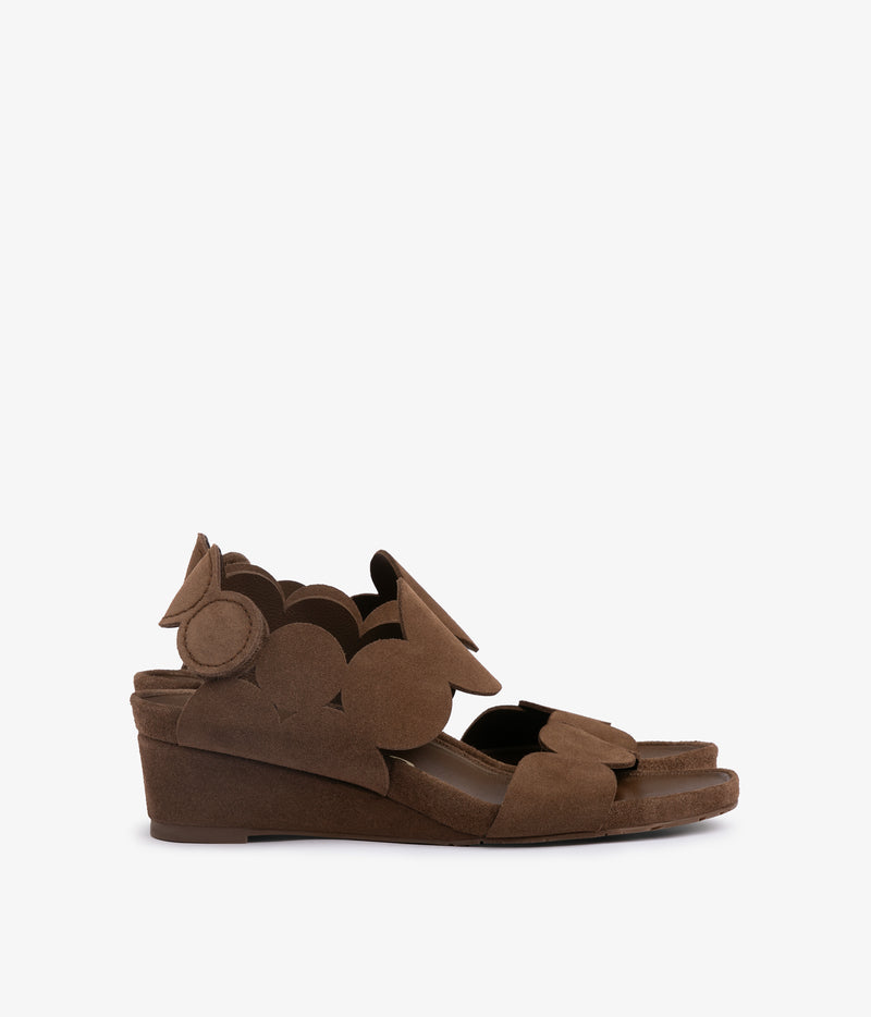 wamil / chocolat castoro