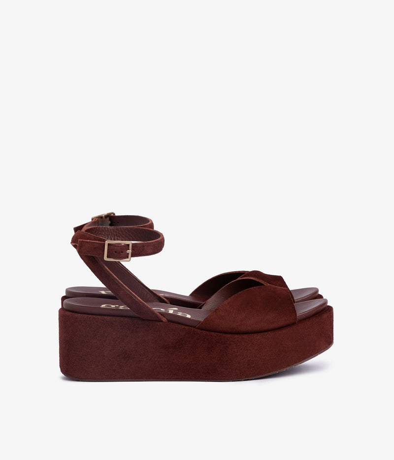 nereida / brunette castoro