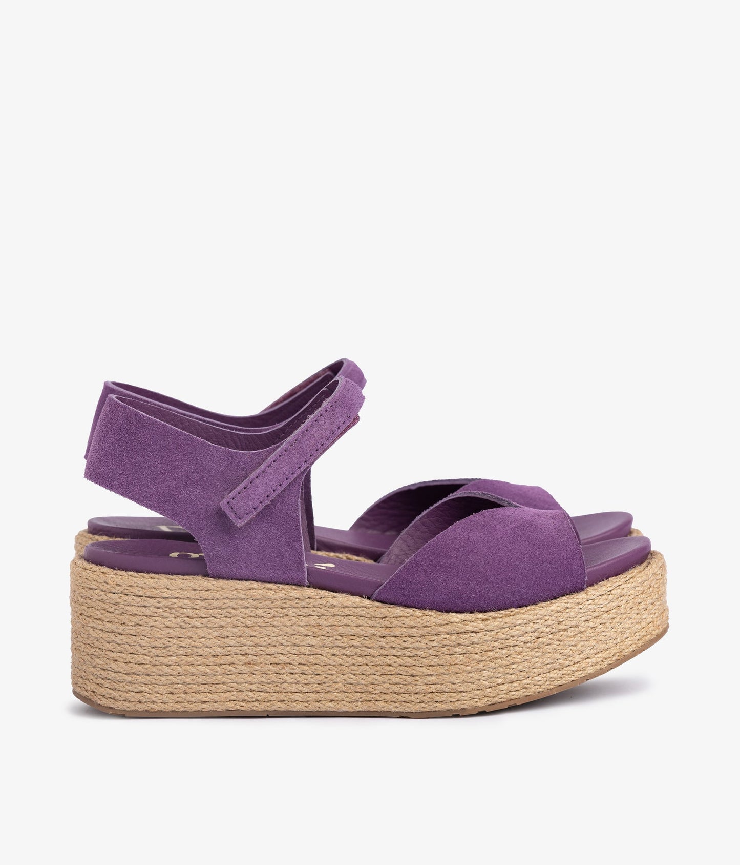 nirvana / pansy castoro