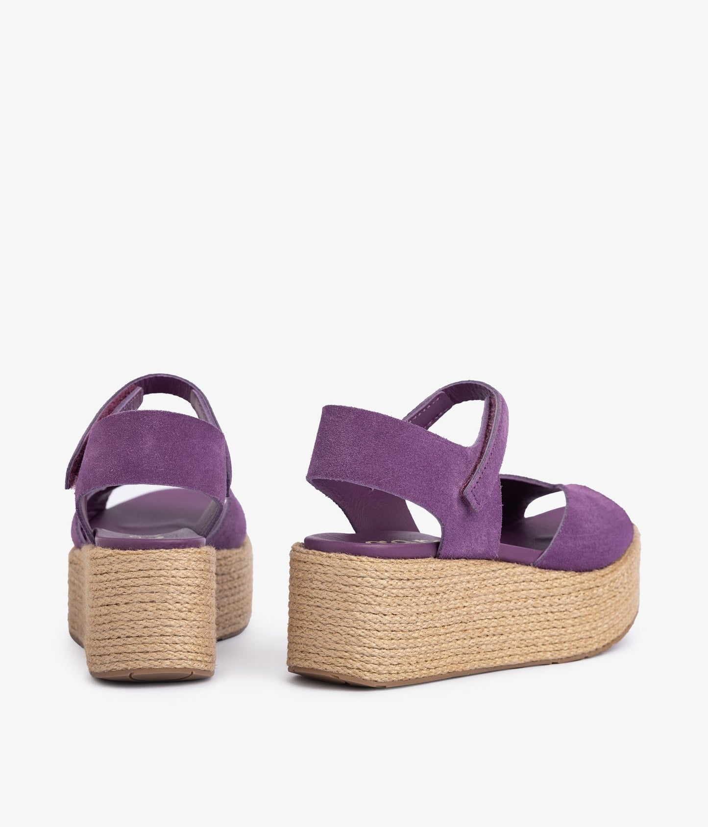 nirvana / pansy castoro