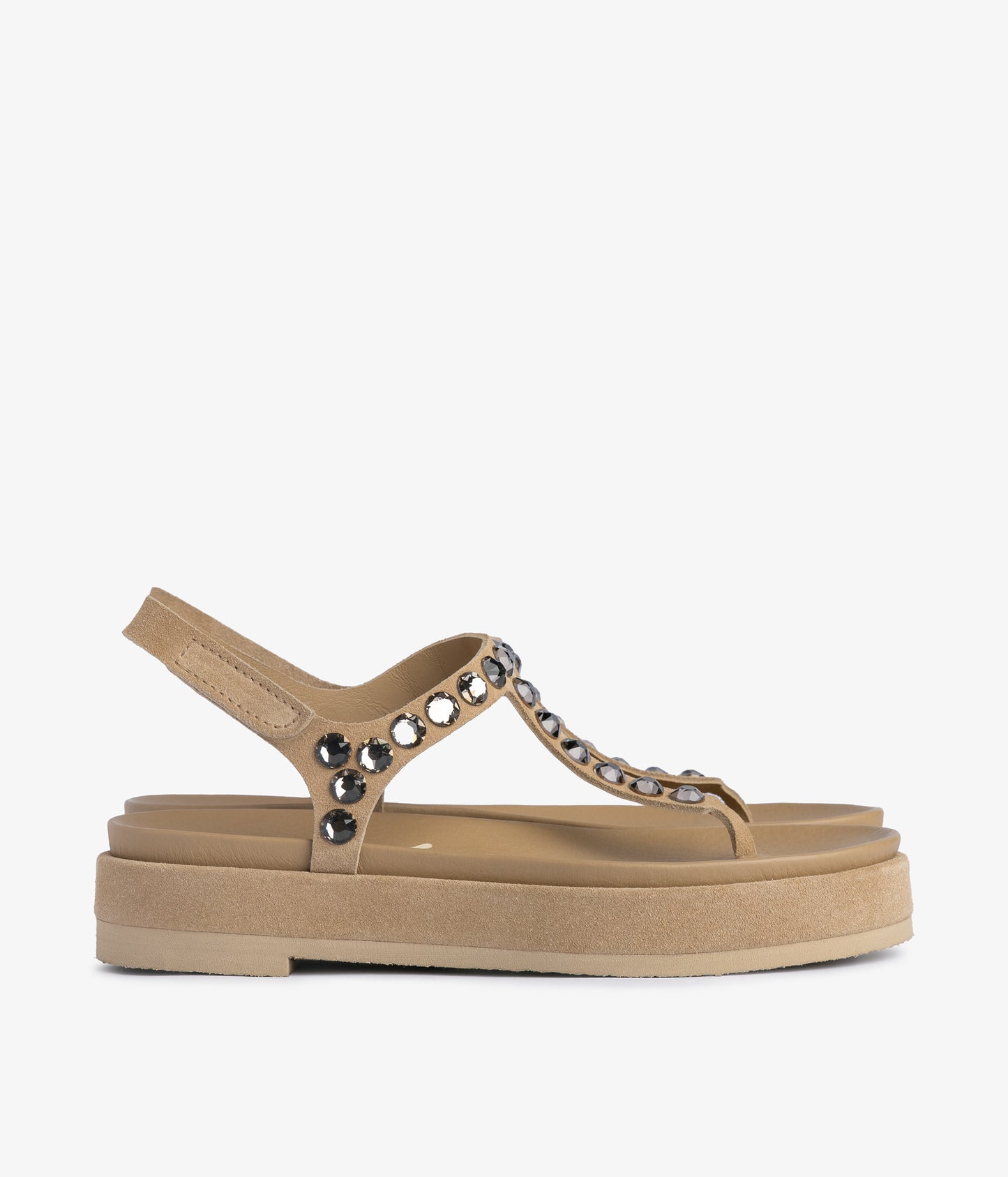 judith / dijon castoro