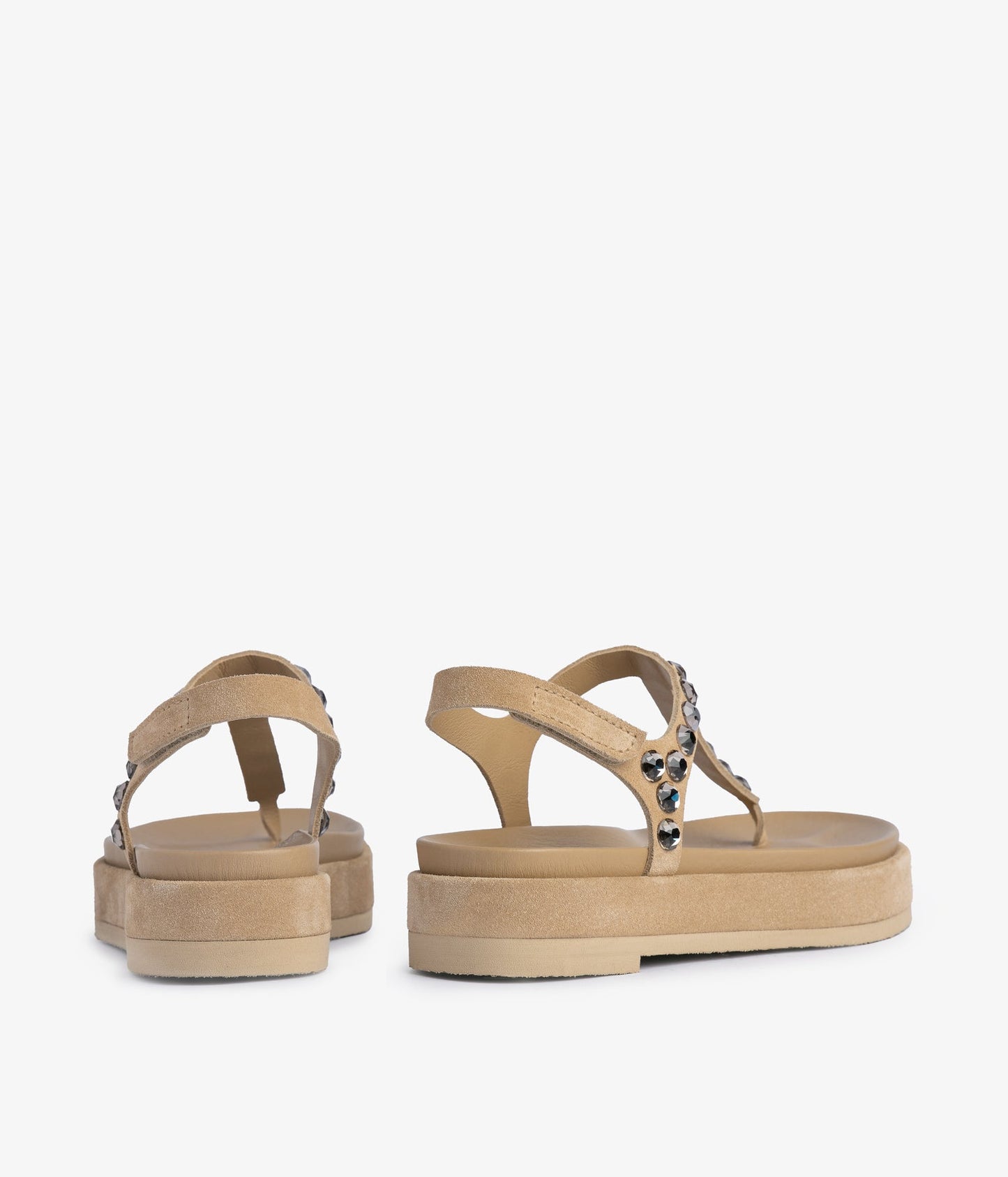 judith / dijon castoro