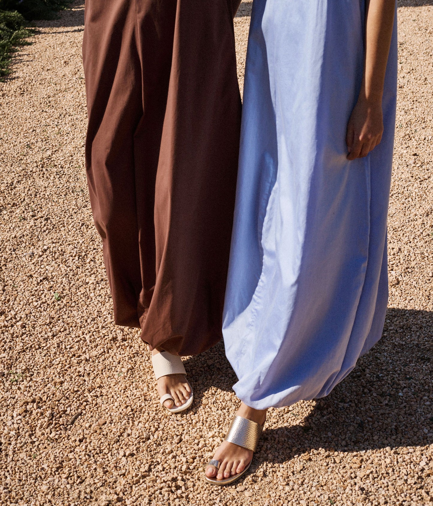 weilis / creme cervo